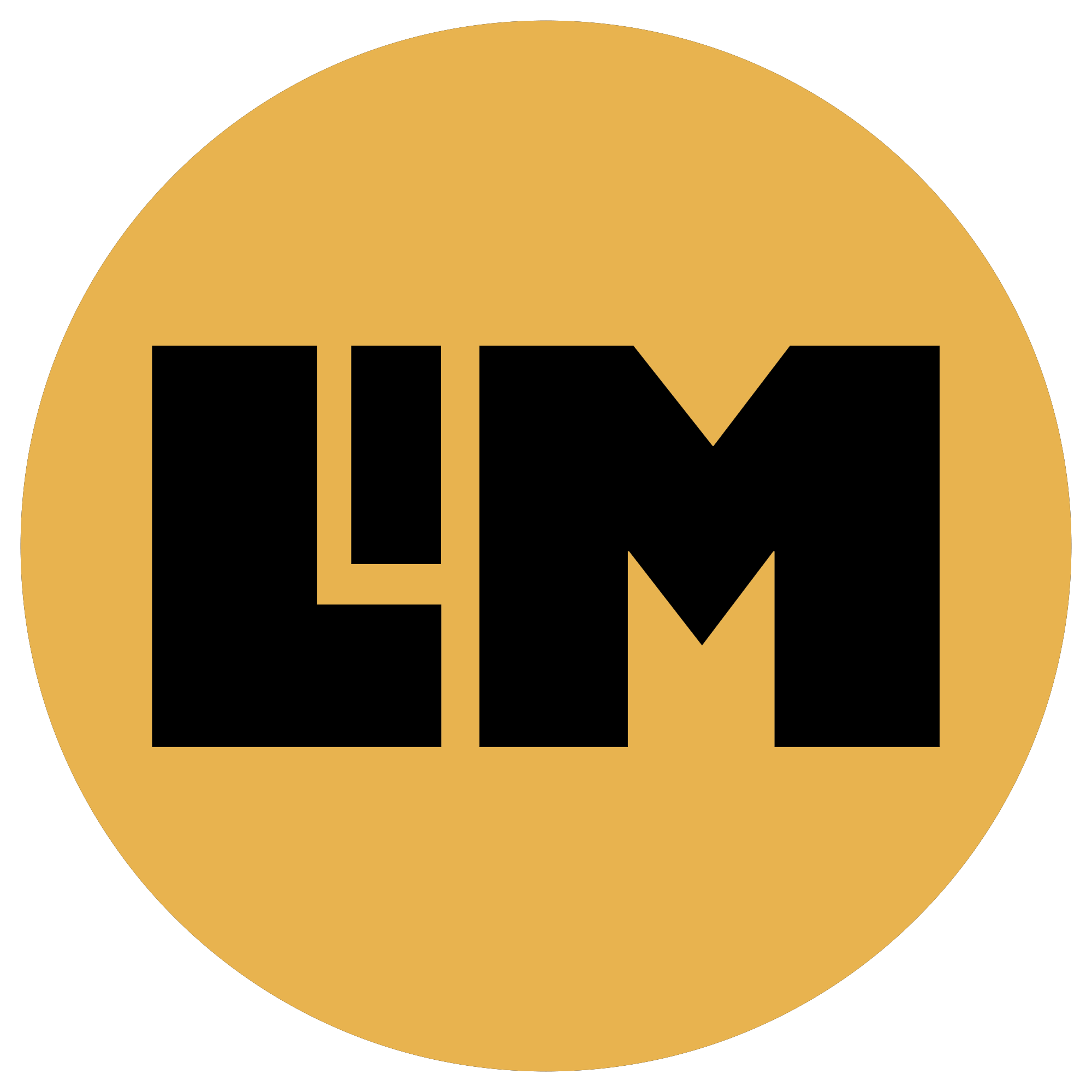 Light in Motion Visual Works